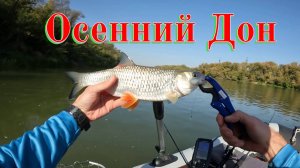 Путешествие на осенний Дон, рыбалка на хищника!