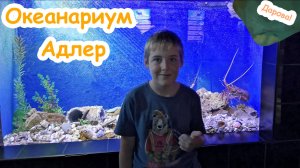 Океанариум Адлер