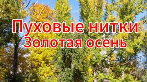 Оренбургские пуховые нитки//Впечатление о коврике//Золотая осень