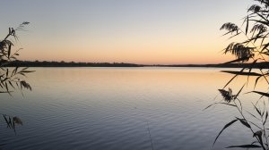 ФИДЕРНЫЕ ПРИКЛЮЧЕНИЯ В ДИКИХ МЕСТАХ