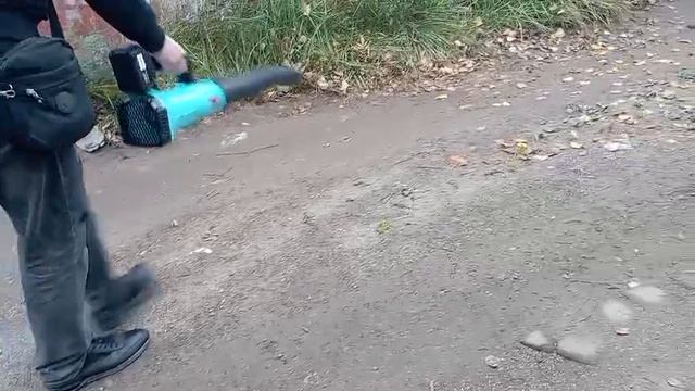 Аккумуляторную садовую воздуходувку KANZLER RBV-21-5