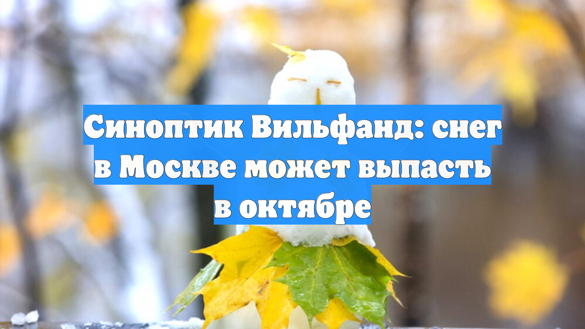 Синоптик Вильфанд: снег в Москве может выпасть в октябре