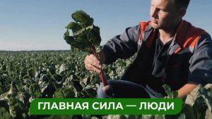 Лидеры АПК, FullHD