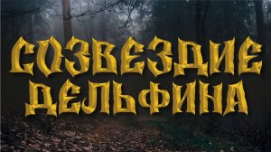 Детский полнометражный фильм "Созвездие Дельфина"