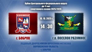 10.10.2025_12.00(МСК)_2015 г.р._ХК "ДЕКО МИНЕРАЛС" (г. Бобров)-ХК "МАЙСКИЙ" (г.п. ПОСЕЛОК РАЗУМНОЕ)