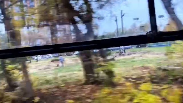 Про мукбанги и влоги, что выбирает идеальный зритель/цена проезда на трамвае в Нижнем Новгороде
