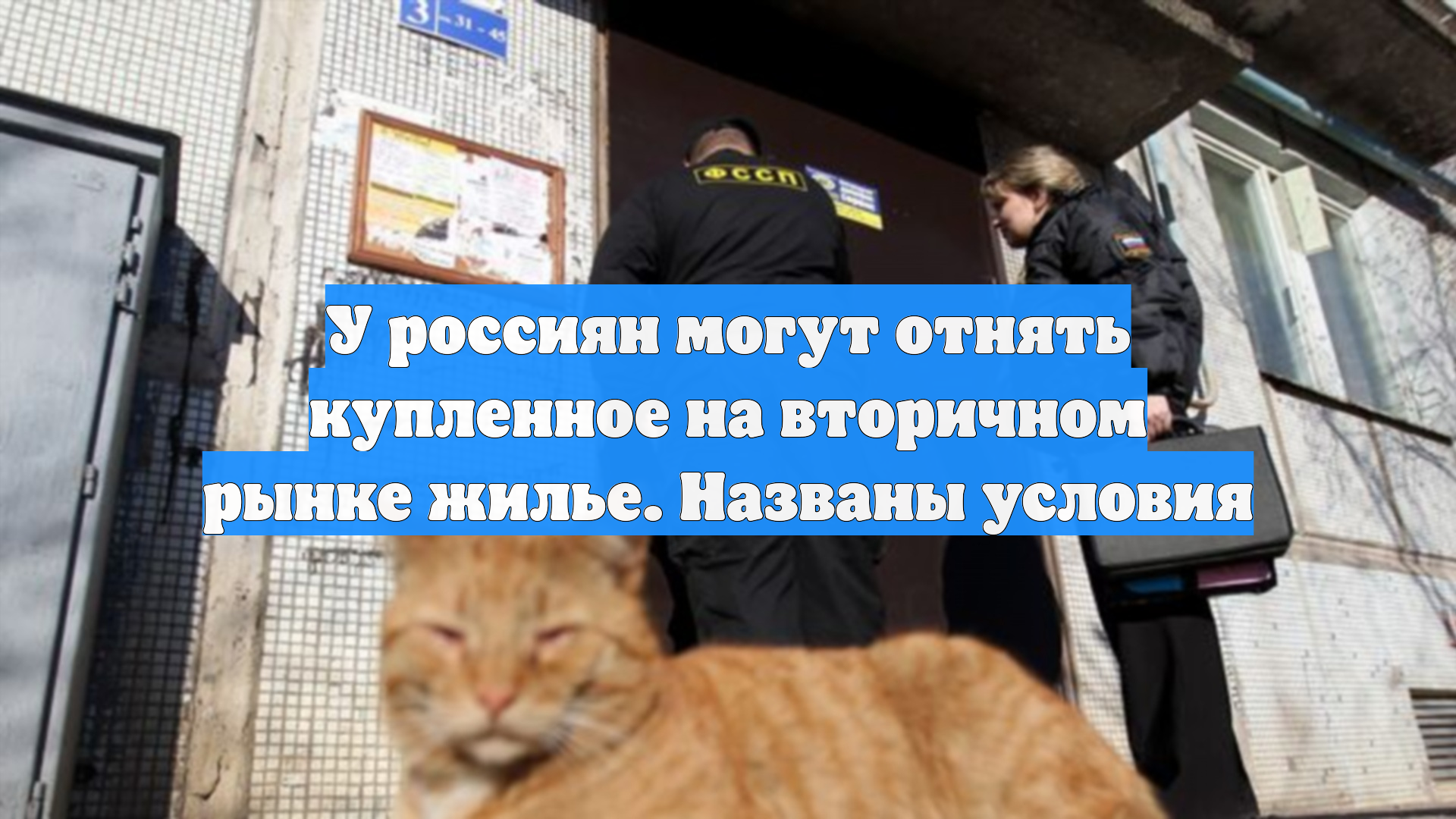 У россиян могут отнять купленное на вторичном рынке жилье. Названы условия