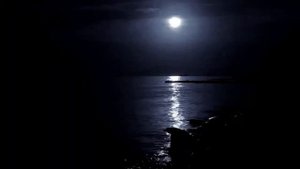 #Сергей Грищук «Лунная ночь» ⧸#Sergey Grischuk Moonlight Night