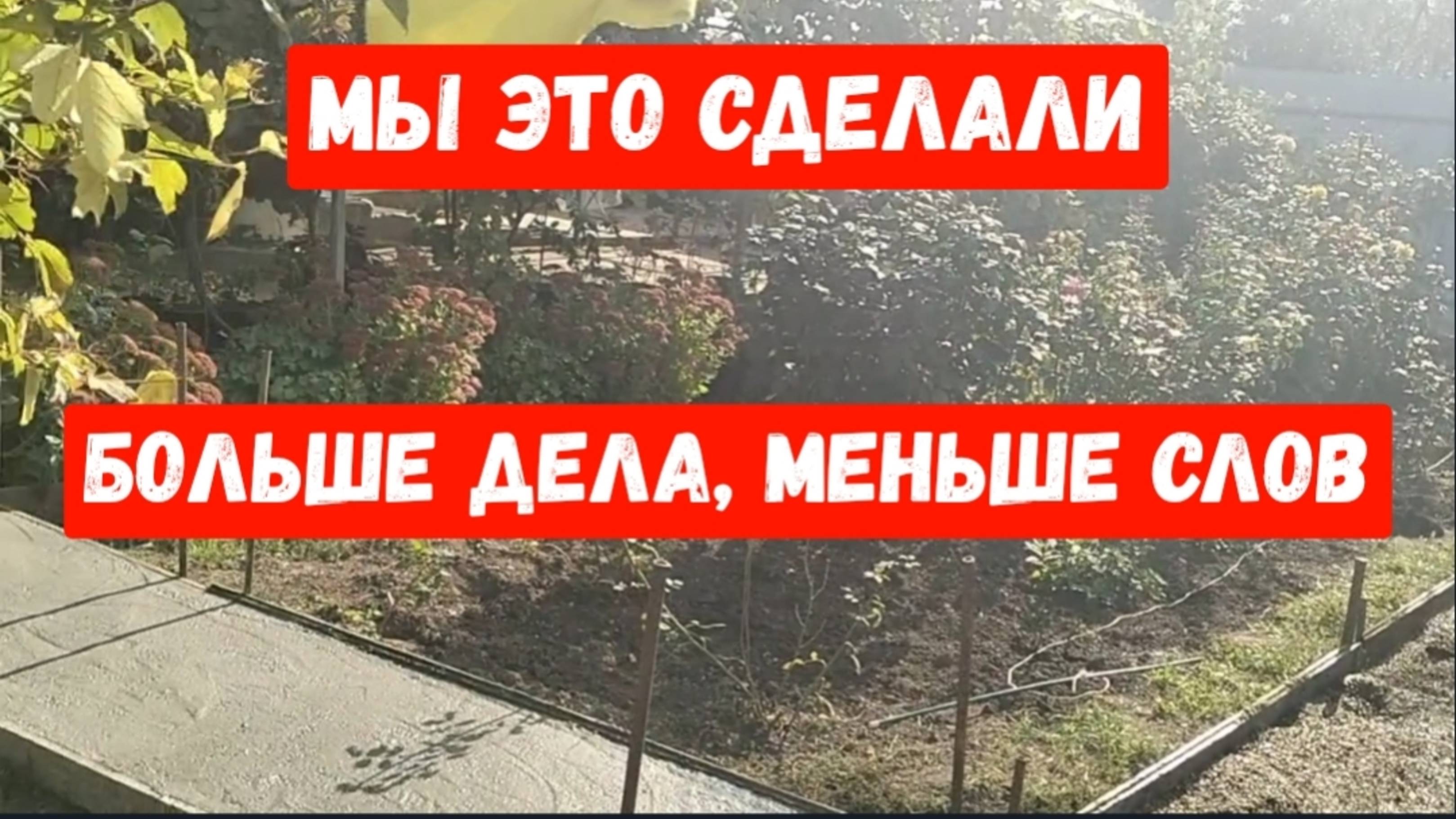 #100🌷Забетонировали дорожку/Посадила новую ежевику