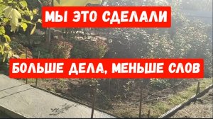 #100🌷Забетонировали дорожку/Посадила новую ежевику