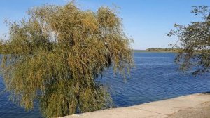 Ветренный денек