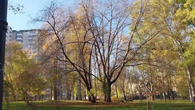 Гуляю в парке! Очередная история! 👋😊