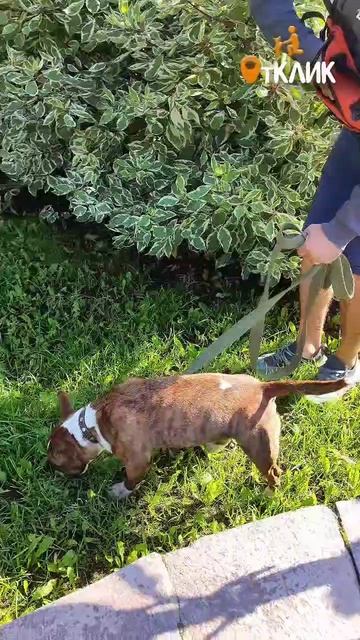 Задел на весну