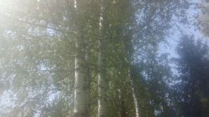 Аве Мария - Ричард Клайдерман