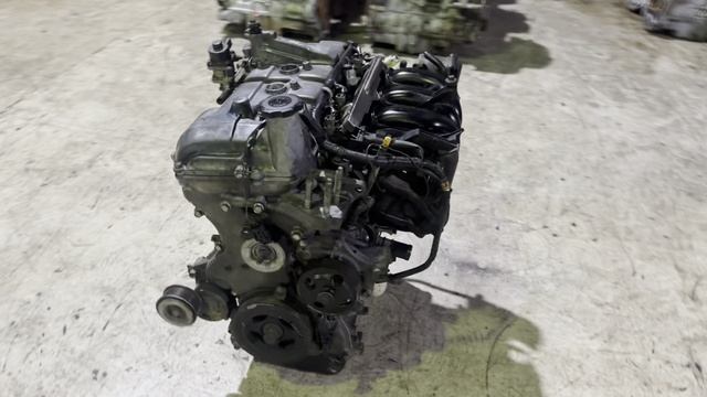 1.6 Z6