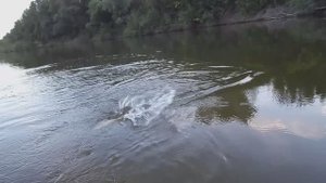 Речка будет остывать - рыба начнёт брать!