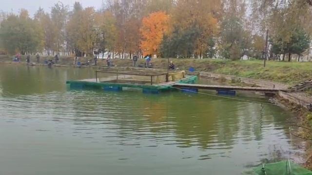 WhatsApp Video 2025-10-09 At 09.54.43