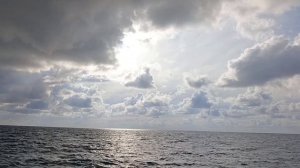 Пляж Сукко 10 октября 2025. Репортаж Светланы Тихоновы.