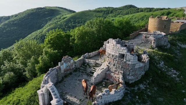 Snimatel & Геленджик глазами птиц
