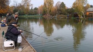 Форель на блесну