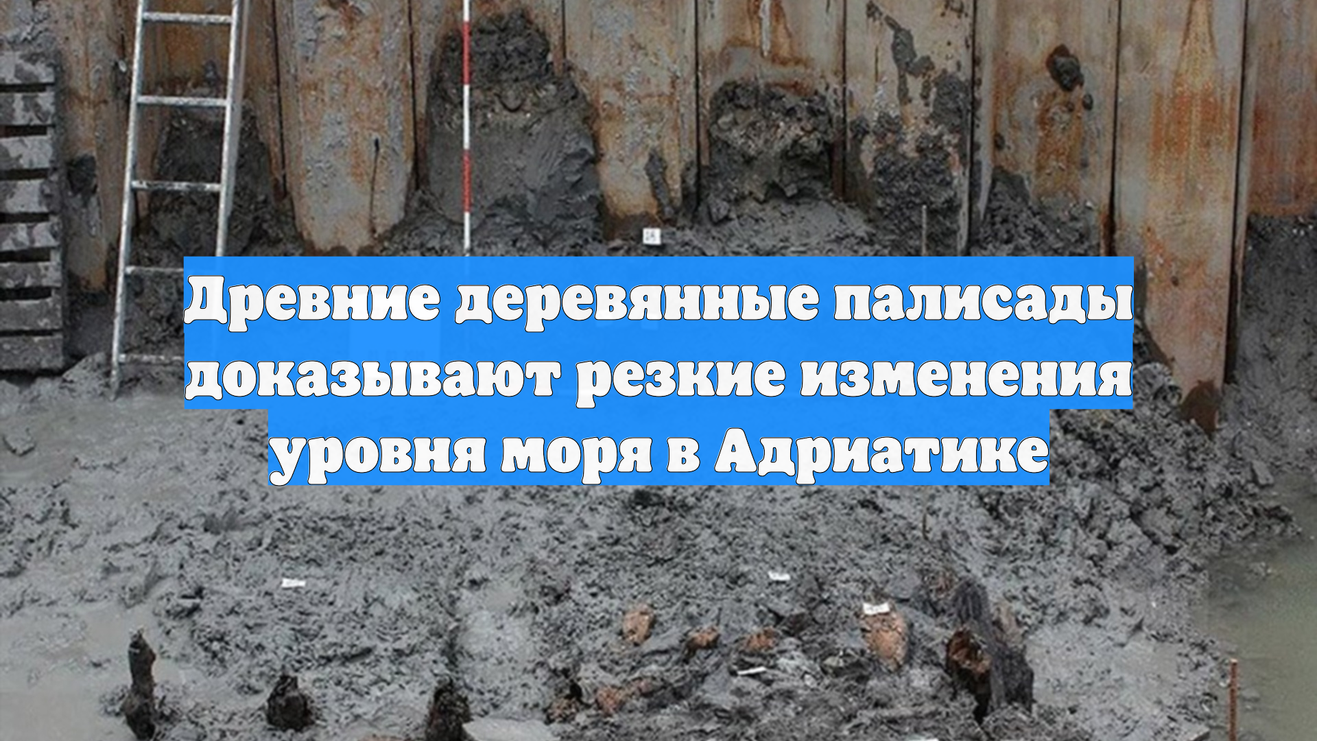 Древние деревянные палисады доказывают резкие изменения уровня моря в Адриатике