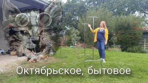 Рутинка, покупки, поездки и КОТ.