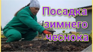 Посадка зимнего чеснока/Саша установил подоконники/Прибрали осенний участк/