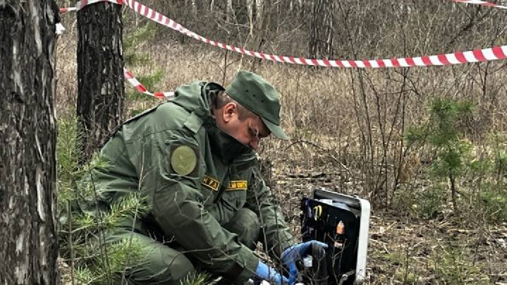 Человеческий скелет нашли на своем участке жители Липецкой области
