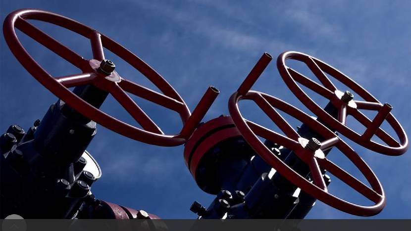 На Сахалине заявили о способности РФ заменить евротехнологии в нефтепроектах