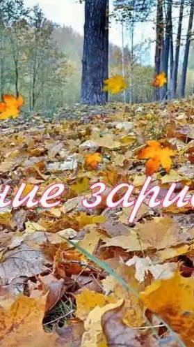 Осенние зарисовки 2025 год. Autumn Sketches 2025