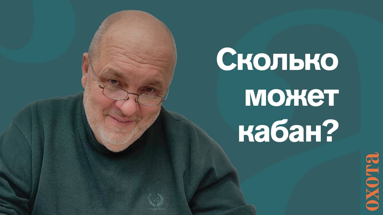 Сколько самок покрывает кабан. Валерий Кузенков о гаремной системе кабанов.