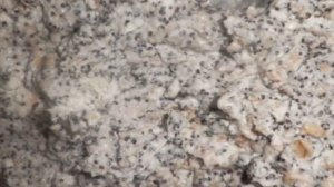 Низкокалорийные сырники в духовке