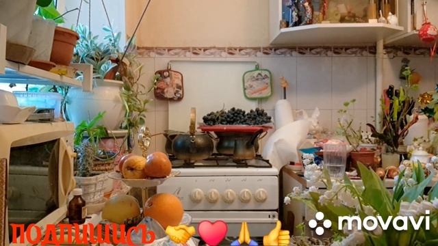 1000011652.mp4.  🚀🖋️УТРО С НАМИ 💃🔥МОИ БУДНИ 🖋️🚀