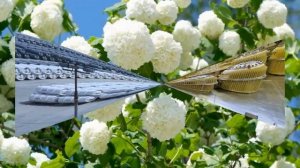 Запад ошарашен! Москва показательно денонсировала главную уловку США с оружейным плутонием