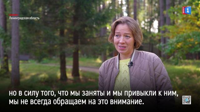 Душевная встреча