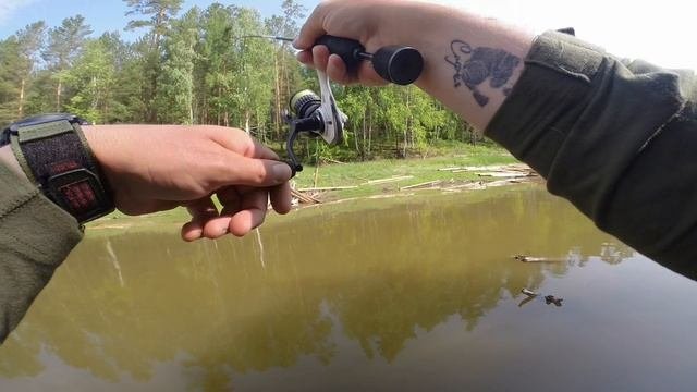 Бешенный клев карася на мормышинг. Попал на раздачу! Красивейшее место, дебри!