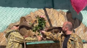 С Днем Рождения, Люся!!! Мы пришли поздравить нашу любимую звезду!!!