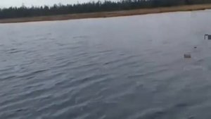 1000087793.mp4