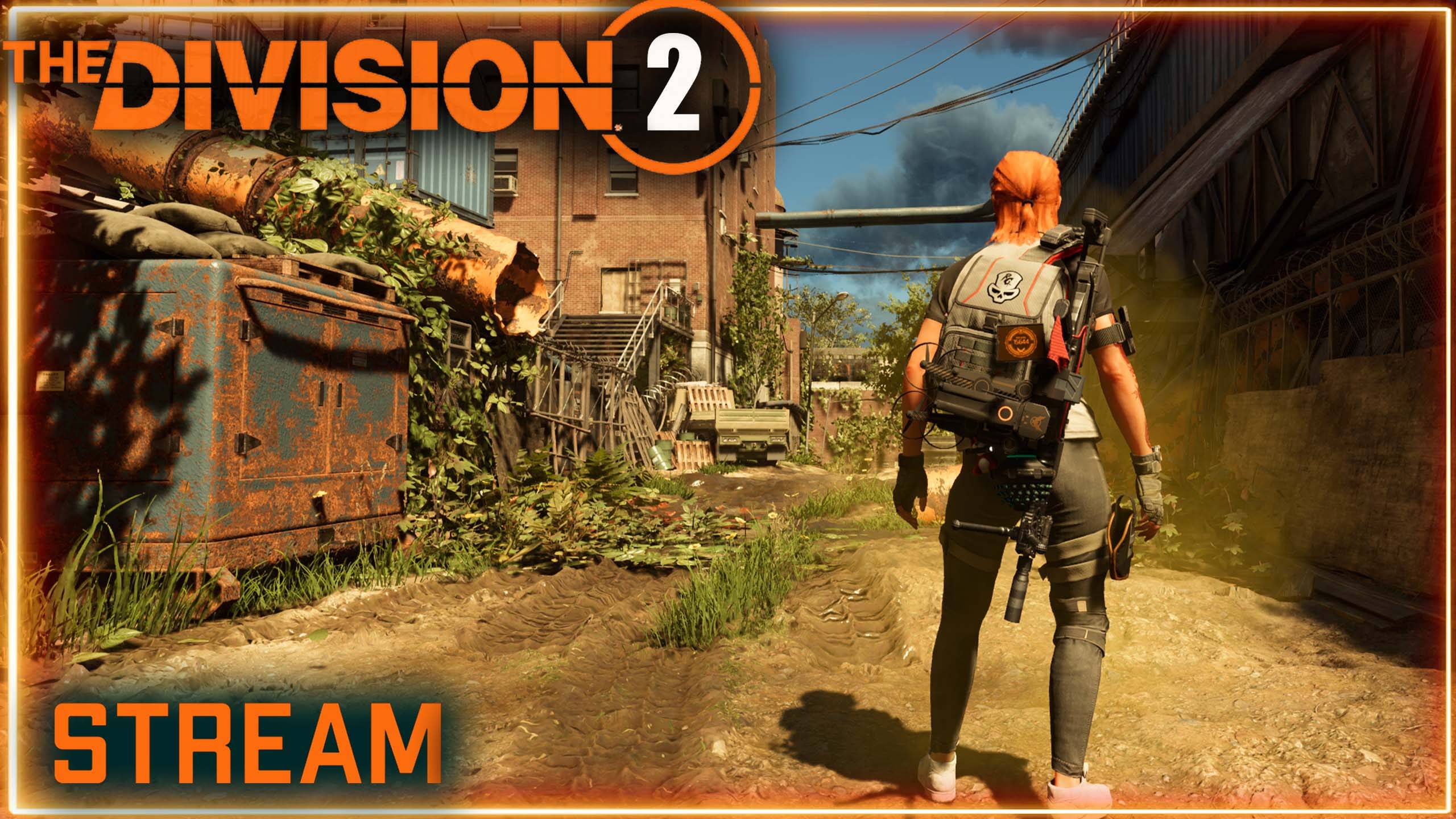 Division 2 Stream: Возможен рейд ⚡ ПВЕ ⚡Возможно ПВП и темная зона