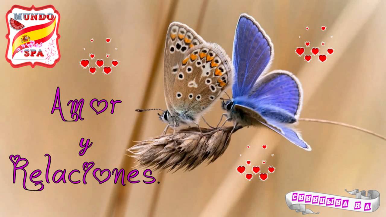 210. Amor Y Relaciones (Любовь и отношения). Часть 1.