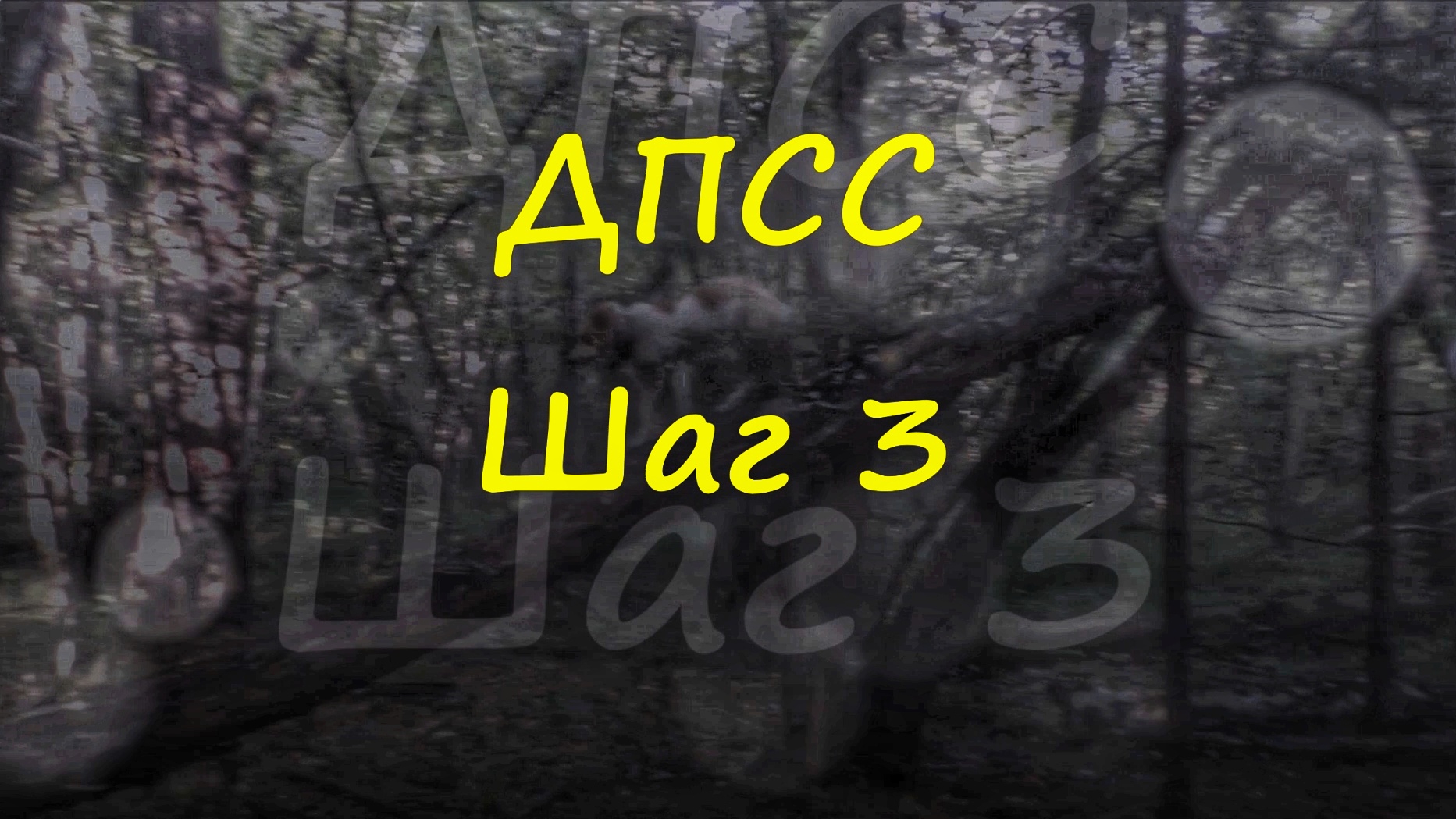 ДПСС. Шаг 3