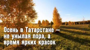 Осень в Татарстане — не унылая пора, а время ярких красок