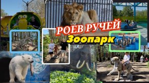 Белые медведи,львы, крокодилы,акулы Какой аттракцион самый крутой? Зоопарк РОЕВ РУЧЕЙ. Красноярск
