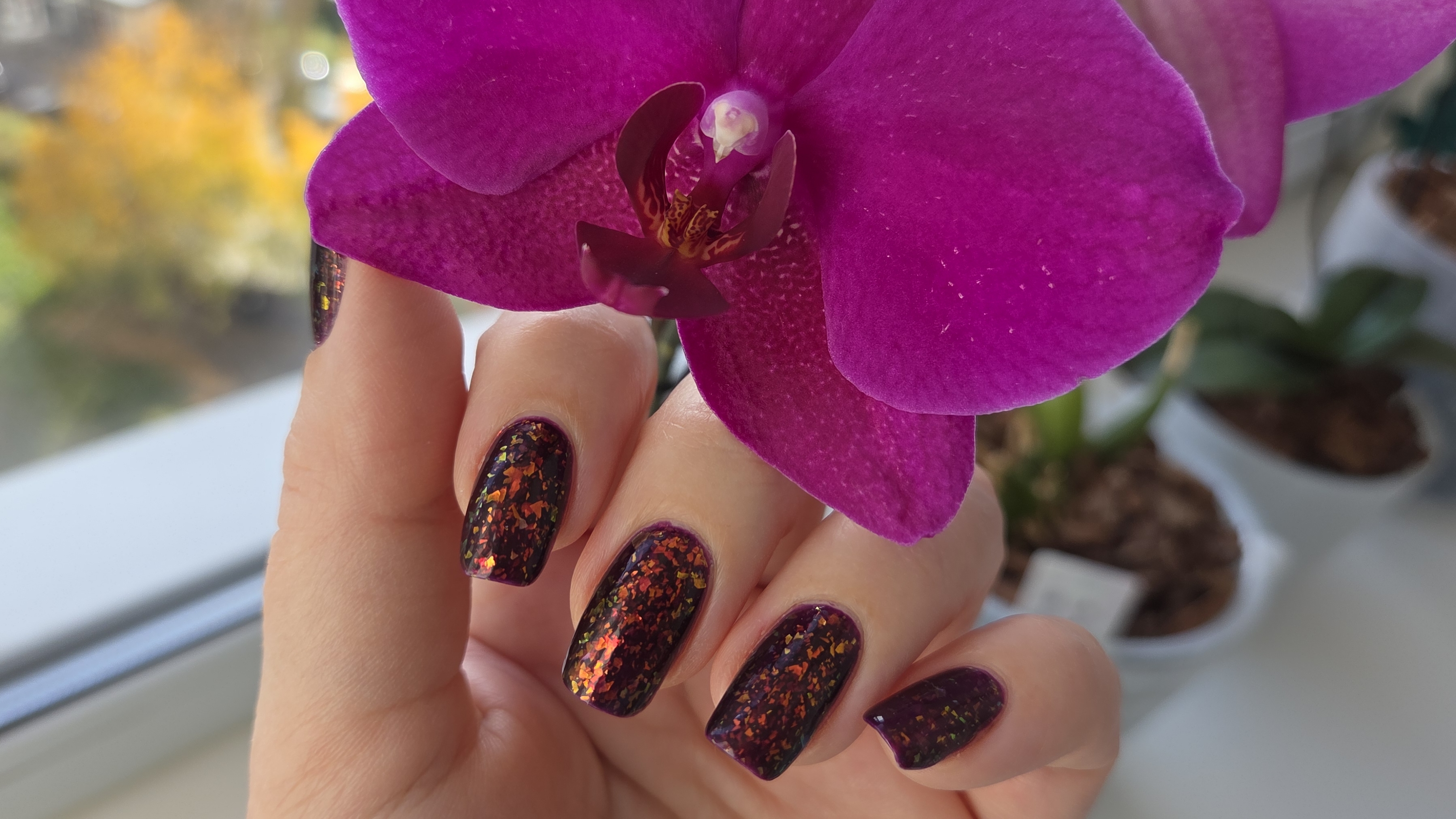 Маникюр, обычный лак ❤️Тестирую базу от Masura, часть 2💅 Карамельное яблоко🍎