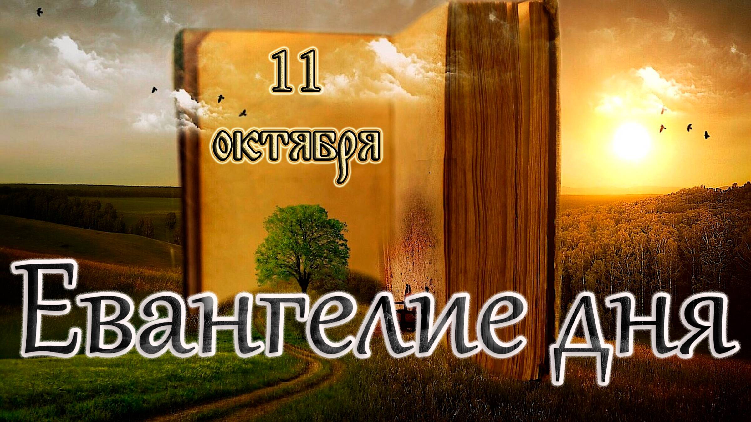 Апостол, Евангелие и Святые дня. Прп. Харито́на Исповедника, епископа Иконийского. (11.10.25)
