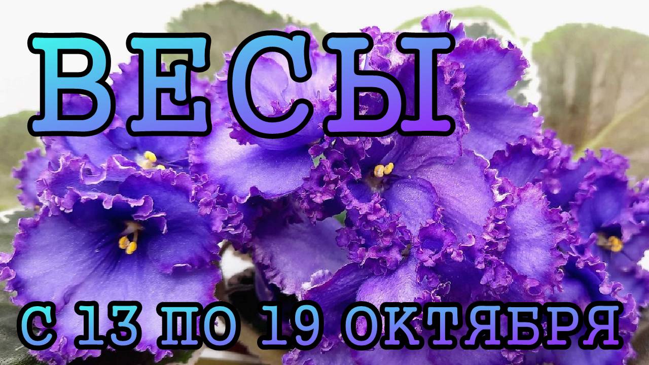 ВЕСЫ таро прогноз на неделю с 13 по 19 ОКТЯБРЯ 2025 года.