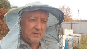 Последний осенний облёт пчёл. Началась зимовка