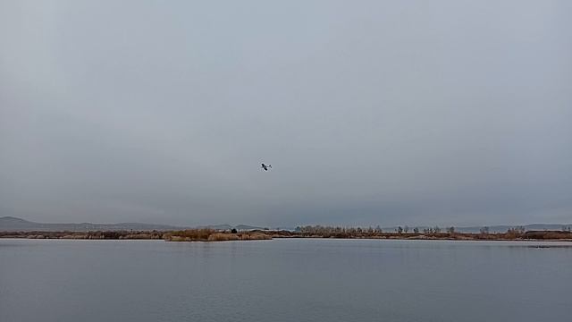 Авиа и авто.  Судомоделисты и таак могут))