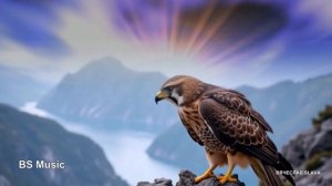 Айгор - Два крыла 2025