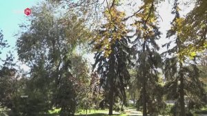 Жили-были-на-Дону 11.10.2025